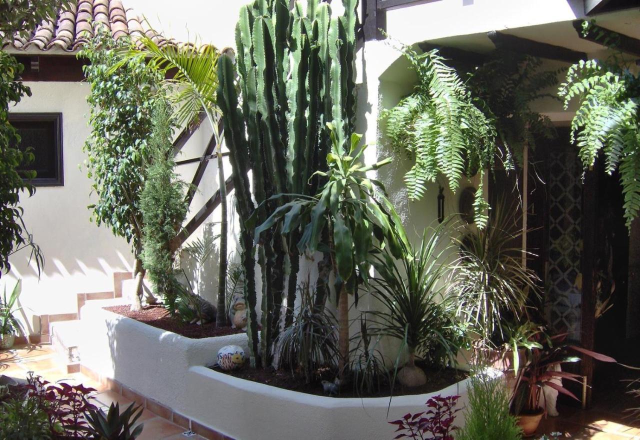 Aptos Monasterio De San Antonio 6 이코드레로스비노스 외부 사진